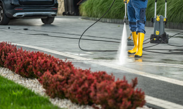 Best Sidewalk and Walkway Cleaning  in Nevada, IA